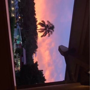 Meet your Posher, Laney